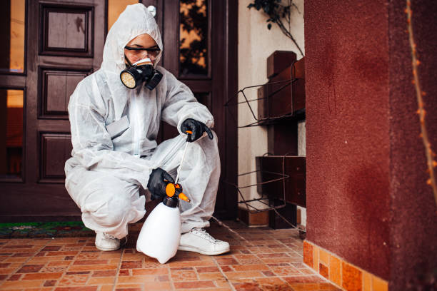 Reliable Cockroach Control contractor in Hoffman Estates, IL by Nex Pest Control