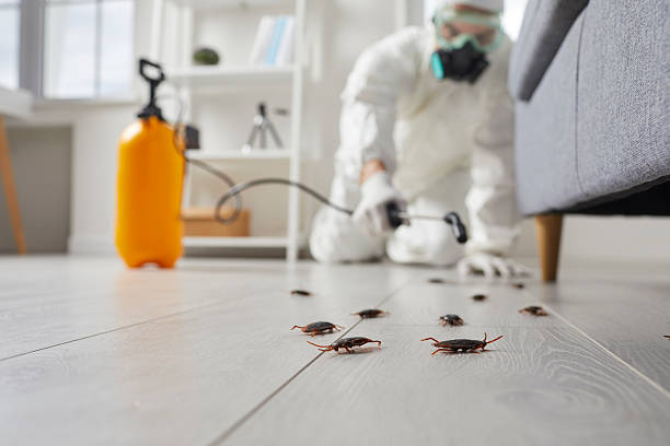 Trusted Mosquito Control service in Hoffman Estates, IL - Nex Pest Control