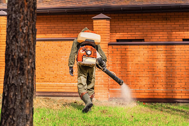 Trusted Termite Control service in Hoffman Estates, IL - Nex Pest Control